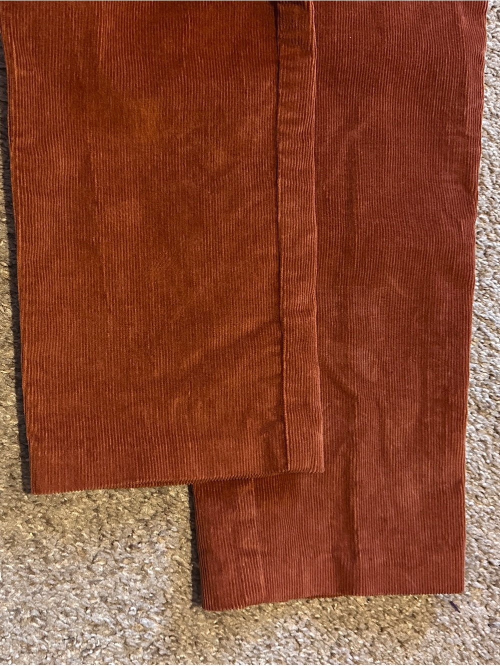 J. McLaughlin Burnt Orange Corduroy Pants Women’s Size 8 Fall Academia Preppy - Picture 6 of 15